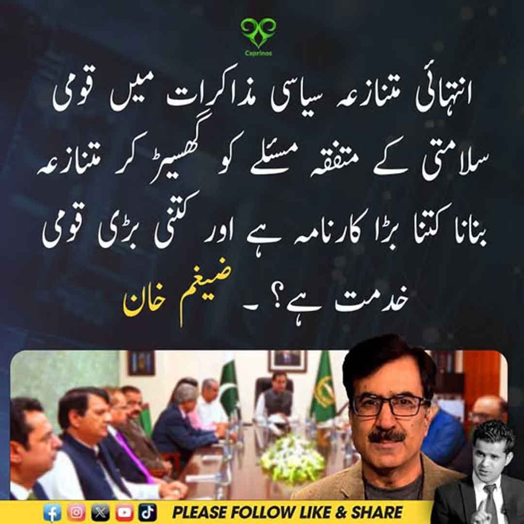 ضیغم خان سیاسی مذاکرات اور قومی سلامتی سے متعلق بیان دیتے ہوئے